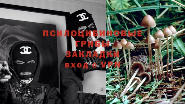 ALPHA PVP Кинешма