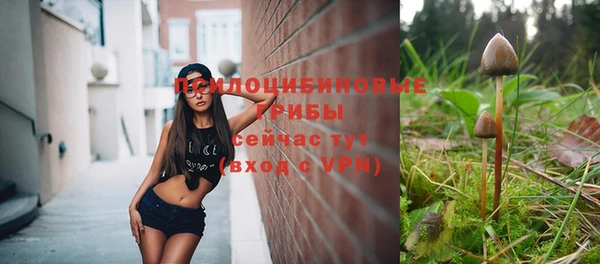 ALPHA PVP Кинешма